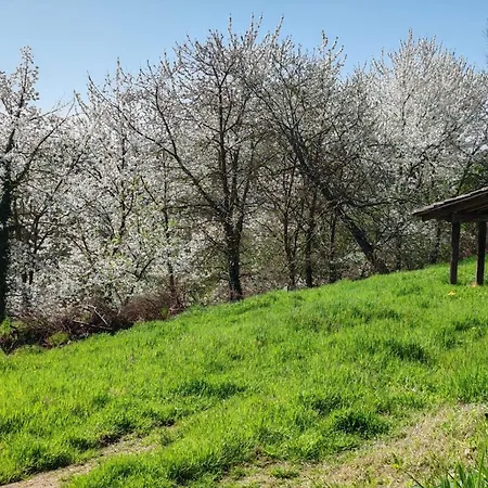 Apartamento La Casa Del Bricco *
